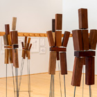 Humanitas Equanimitas