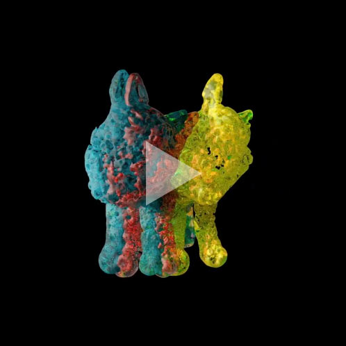 Looking for Schrodinger’s Cat #1