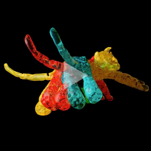 Looking for Schrodinger’s Cat #2