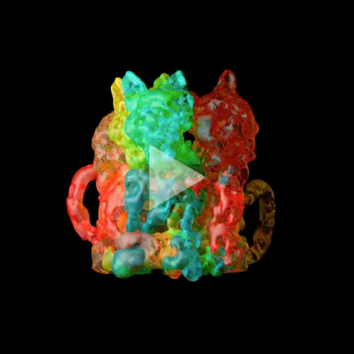 Looking for Schrodinger’s Cat #4